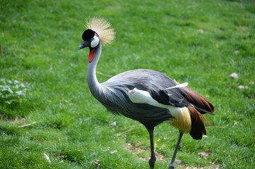 Parque Natural SendaViva Navarra España