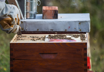 Wooden hive for bees, beekeeping, honey, health, healthy life