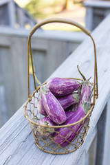 Graffiti eggplants in a rustic wire basket, wooden background. 