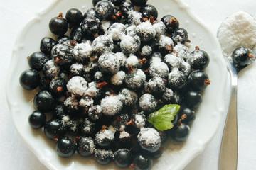 Currant berries are covered with powdered sugar