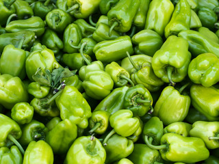 Obraz na płótnie Canvas green pepper