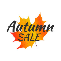 Watercolor autumn foliage vector sale banner