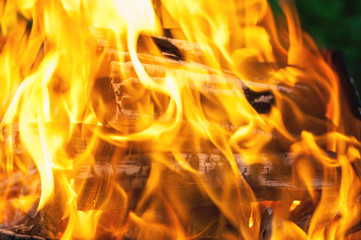 Close up view of burning firewood