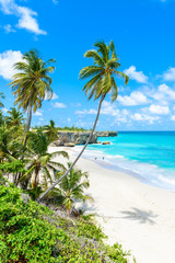 Bottom Bay, Barbados - Paradise beach on the Caribbean island of Barbados. Tropical coast with palms hanging over turquoise sea. Panoramic photo of beautiful landscape.  - obrazy, fototapety, plakaty