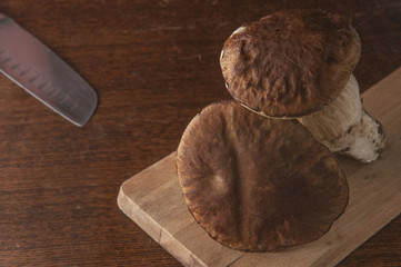 Naklejka premium Porcini mushrooms