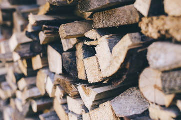 Firewood Stack In Village