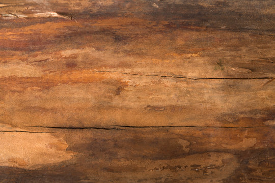 Brown natural wood texture closeup background