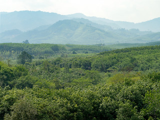 Fototapeta na wymiar Abundance green tropical rain forest jungle mountains. Top view forest landscape in Thailand.