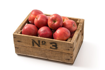 Äpfel (Red Jonaprince)