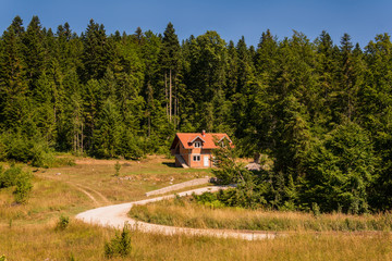 Fototapeta premium house in the forest