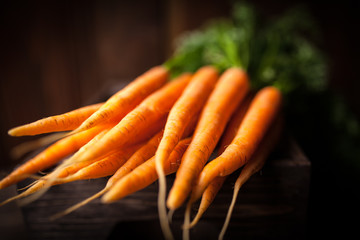 Fresh organic carrot