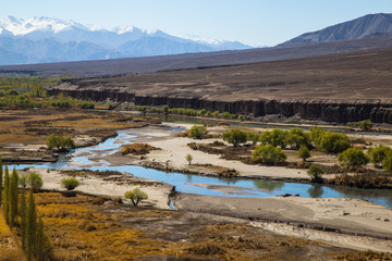 View of Ladakh scene forest with mountain background