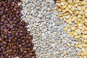 pile of Coffee Beans, three kind of coffee bean. Dark, Medium, Light Roast. coffee and barista business concept.