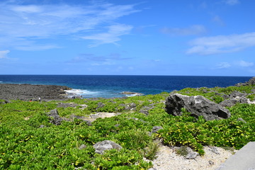 沖縄の海