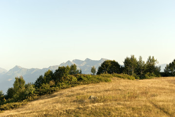 autumnal alpine meadow on the summit plateau of Mount Achishkho with peaks of distant mountains in the background