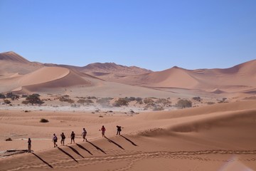 Fototapeta na wymiar People walking on the dunes of the Namib Desert - Deadvlei & Sossusvlei
