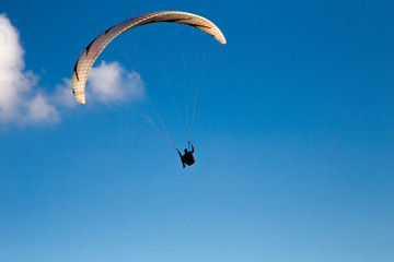 Paraglider flies in the blue sky.