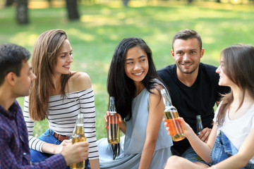 Cheerful people sitting on blanket, drinking beer and talking outdoors