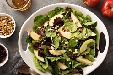 Fall salad with spring mix, apple and cranberry