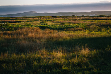 Dramatic Landscape