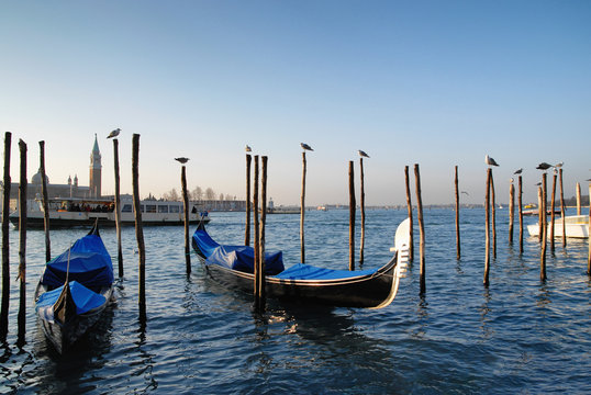gondolas of Venice in italy