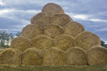 Stocks of rough forages