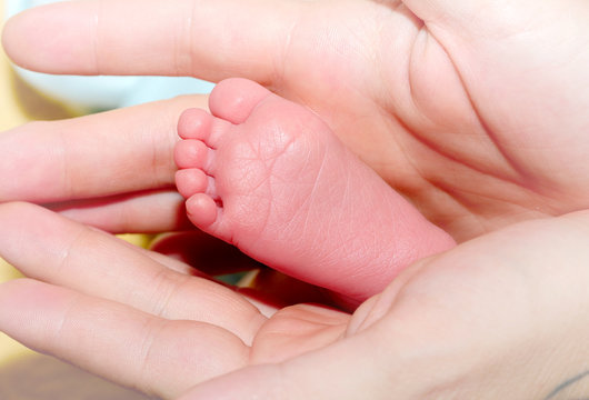 small foot of baby in the hand of his mother