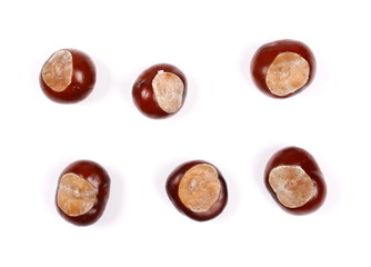 Brown chestnuts isolated on white background, top view
