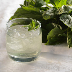 Mint cocktail