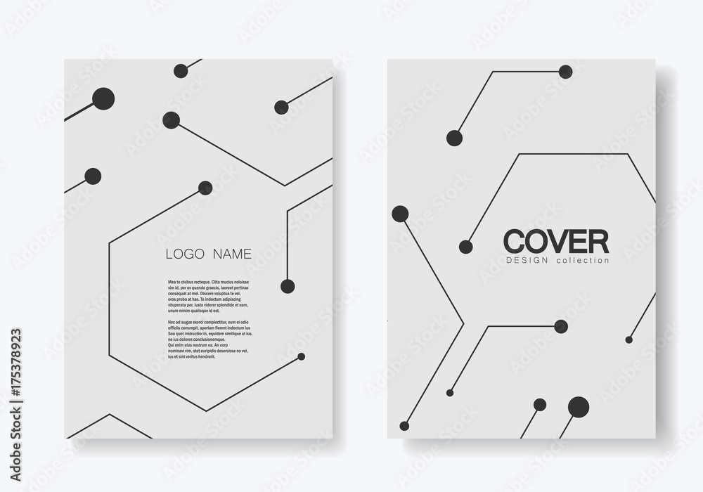 Poster Vector connection and social network. Hexagons technology pattern