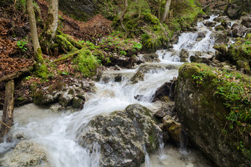Naklejka na ściany i meble Swift water stream with waterfalls in Mala Fatra NP, Slovakia