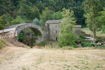 Fototapeta na wymiar Ancient roman bridge