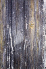 Obraz premium Wood texture background