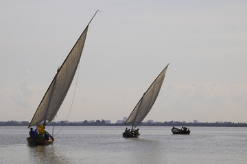 Obraz premium Vela Latina 