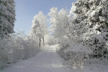 Beautiful winter countryside in Czech Republic with blue sky, Jeseniky