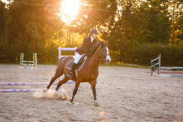 Obraz premium Horserider on the competition