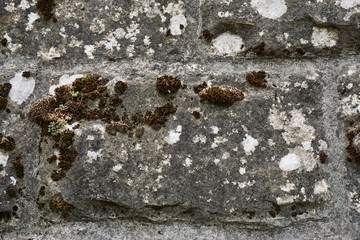 Stones wall