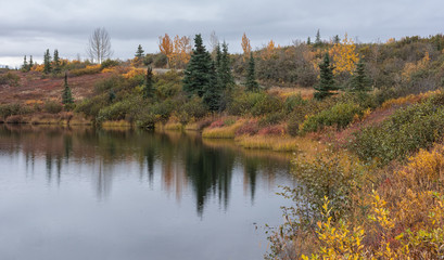 Turndra in fall colors at ponds edge