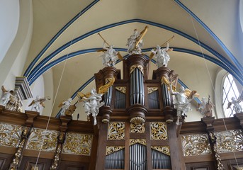 Schloßkirche in Brühl, Orgel