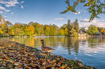 Der Herbst ist in München angekommen, am Kleinhesseloher See - Natur im Wandel der Jahreszeit 
