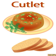 Fried cutlet. Meatballs and bread. The roasted steak on the plate isolated on white background. Meat rissoles, spices and green vegetables. Vector illustration 