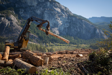 Heavy duty machine industrial forestry logger mountain landscape sunny day 