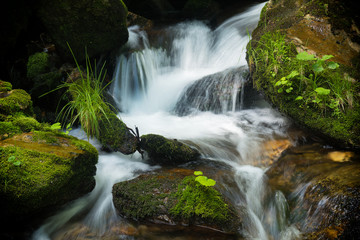 Wild white Opava, Jeseniky national park, Czech Republic