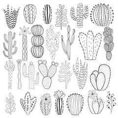 Hand drawn doodle cactus © anatartan