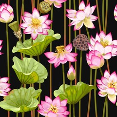 Seamless pattern with lotus flowers