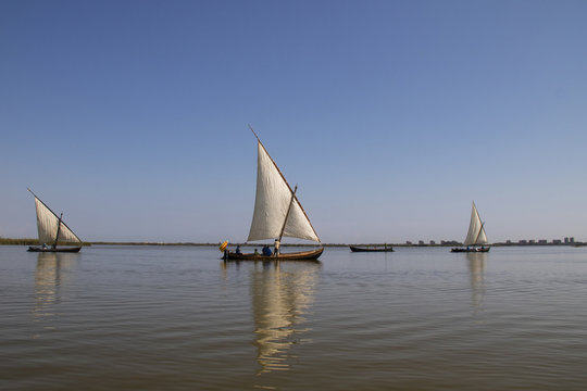 Vela Latina 