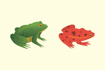 Exotic amphibian set. Frogs in different styles Cartoon Vector Illustration isolated. tropical animals