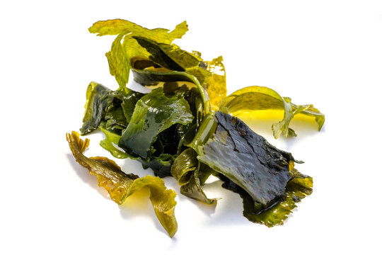 Wakame Alge Algen isoliert freigestellt auf wei&szlig;en Hintergrund, Freisteller