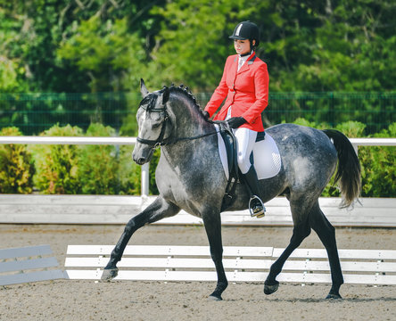 Young elegant rider woman and gray horse. Beautiful girl at advanced dressage test on equestrian competition. Professional female horse rider, equine theme. Saddle, bridle, boots and other details.
