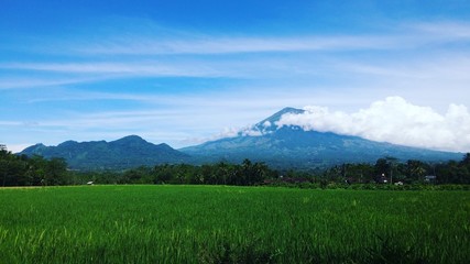 Fototapeta premium Sumbing Mountain